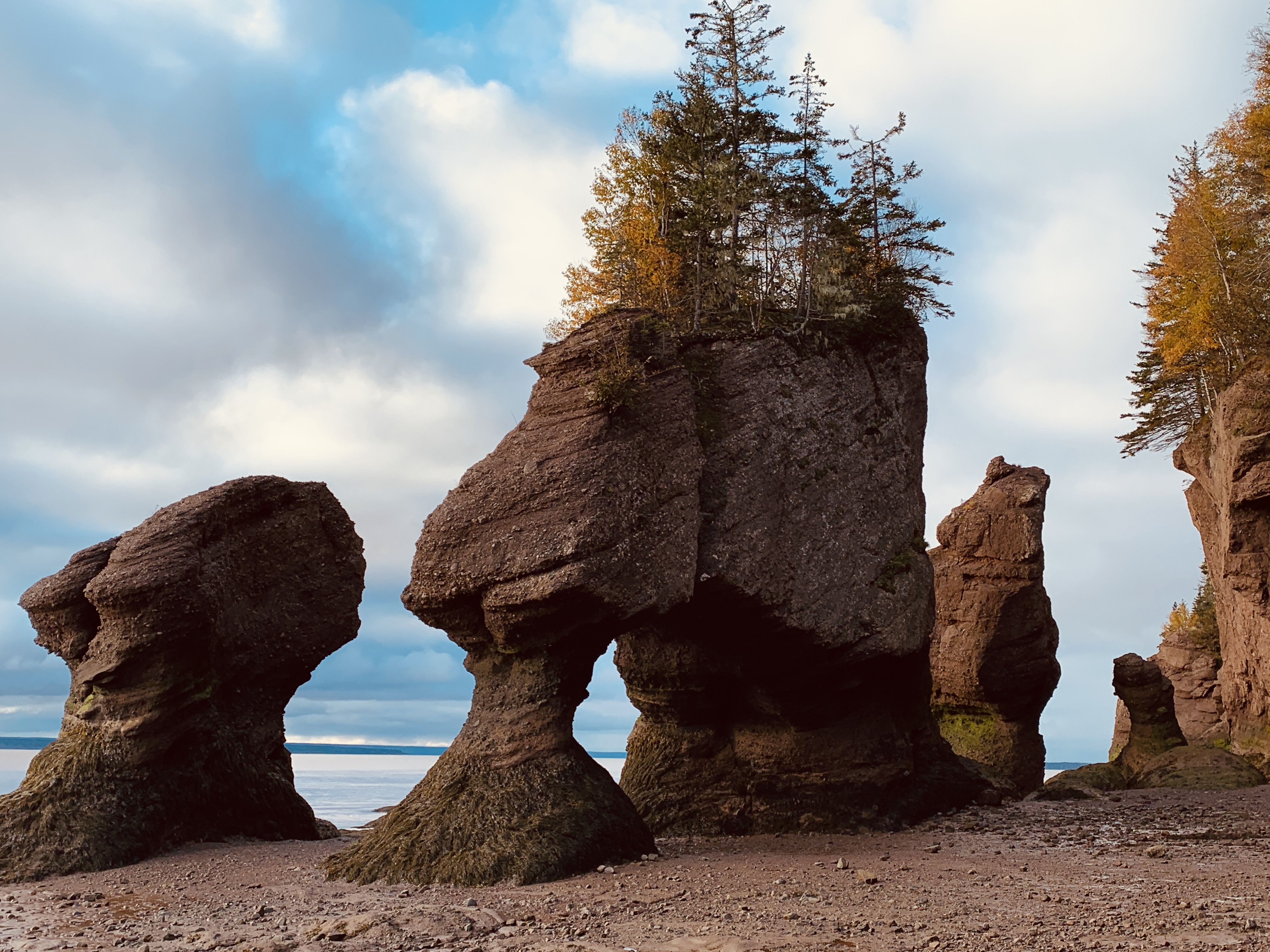 New Brunswick – Day 10 – Moncton>Hopewell Rocks>Home