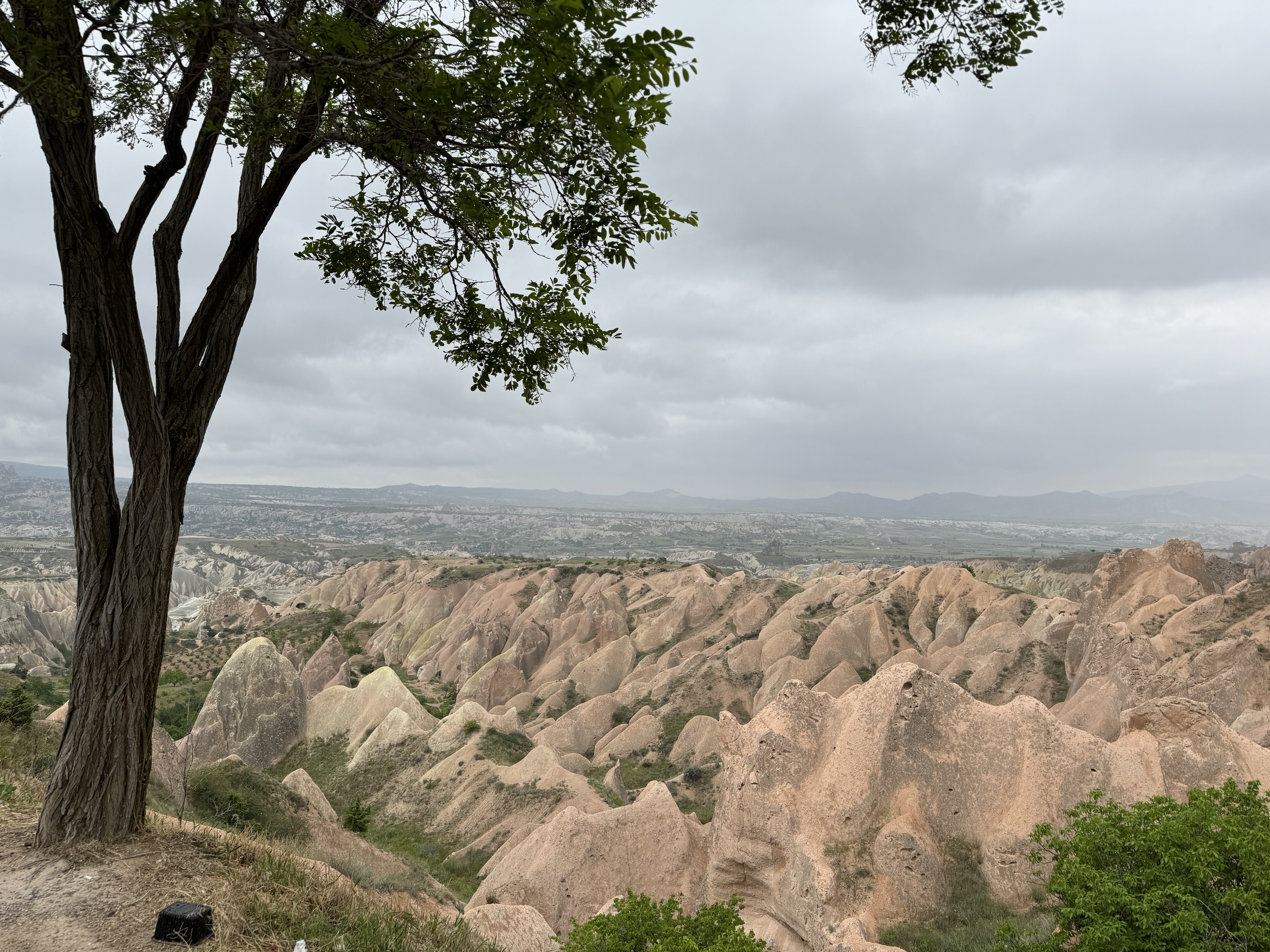 Disappointing Hot Air Balloon News in Göreme: But Adventure Still Awaits