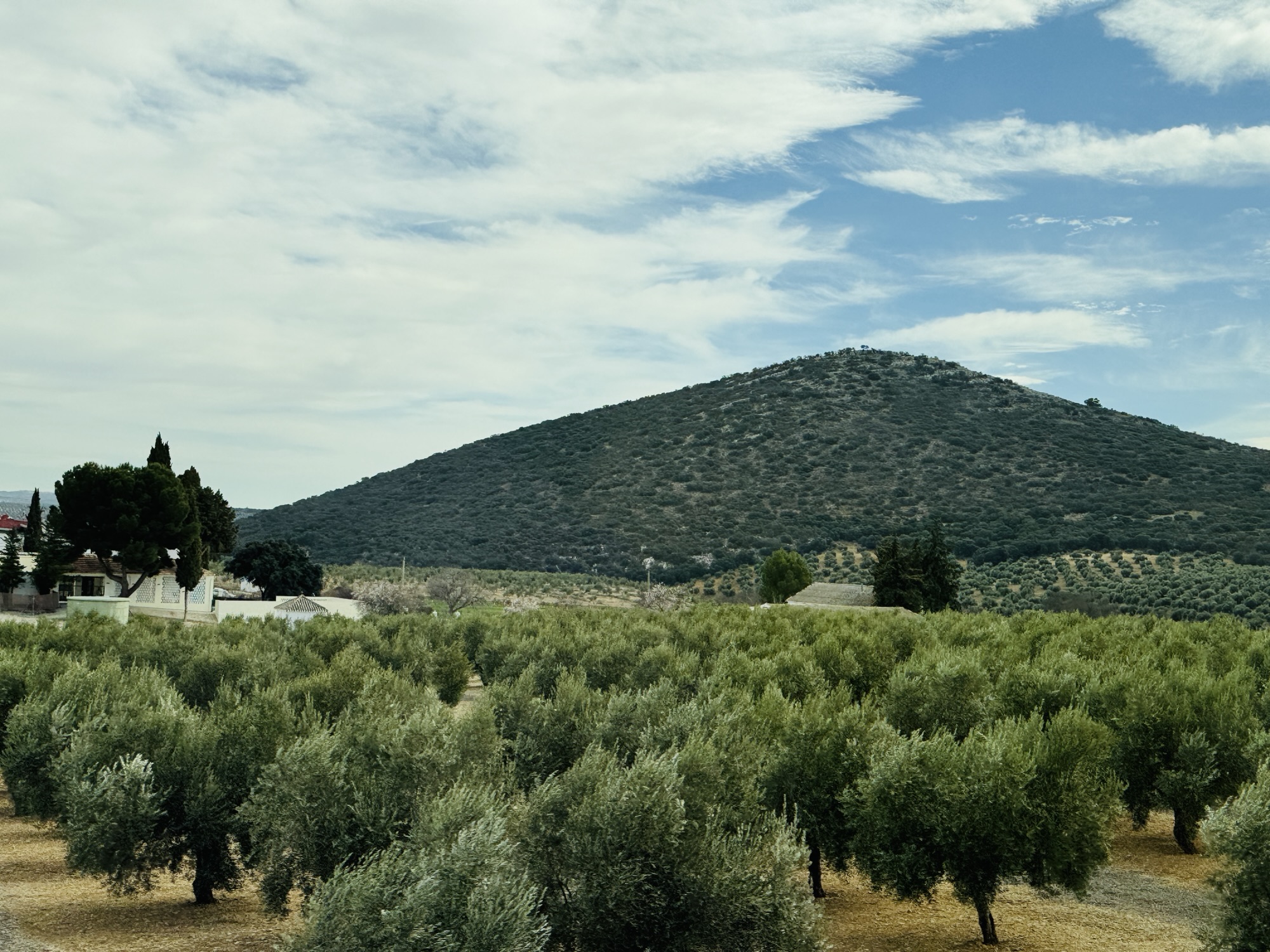 Breaking Away From Torre Del Mar
