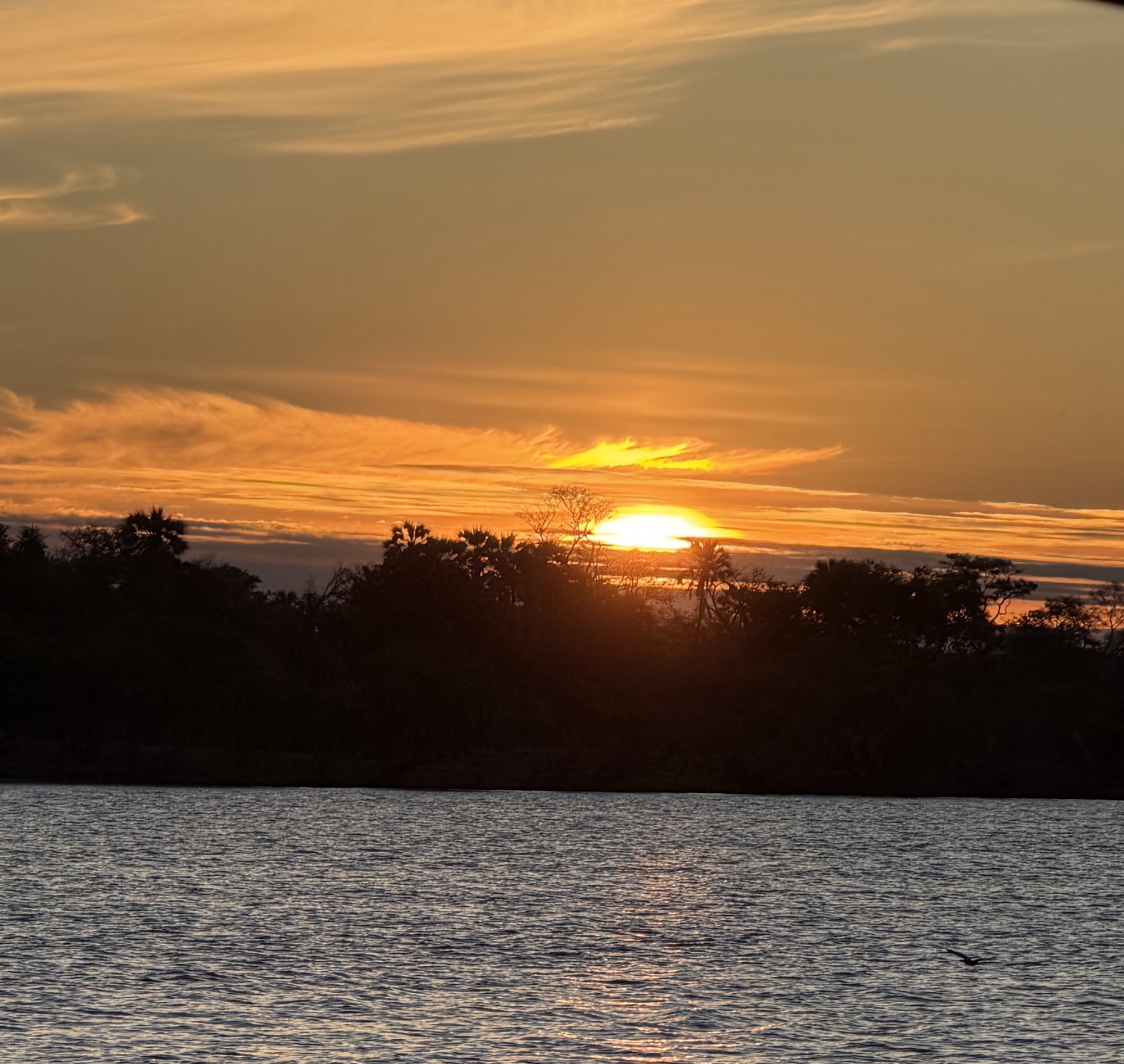 Day 16 – Victoria Falls Village, Zimbabwe